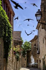 Fotografía artística de fauna pájaros volando sobre casas