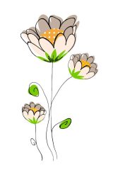 Fotografía artística minimalista esencia floral